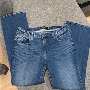 Silver Jeans Women's Denim Skinny Jeans